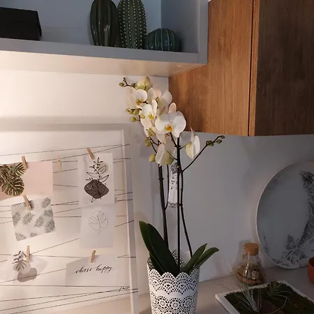 Kora Eco Lägenhet *