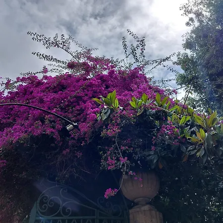 Lägenhet Kora Eco *