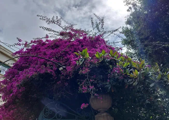 Appartamento Kora Eco *